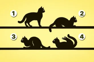 Qual é o Teu Propósito na Vida? Um Teste Rápido que Pode Transformar Tudo