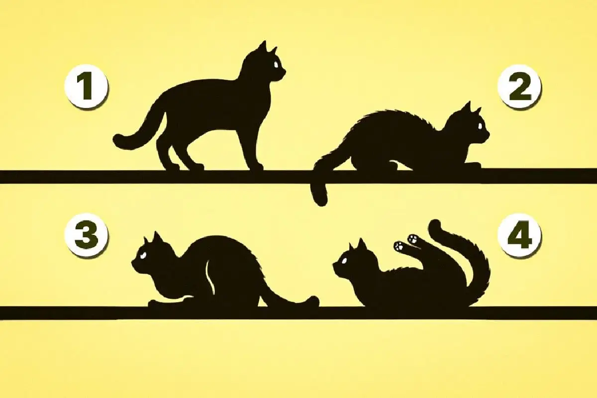 Qual é o Teu Propósito na Vida? Um Teste Rápido que Pode Transformar Tudo