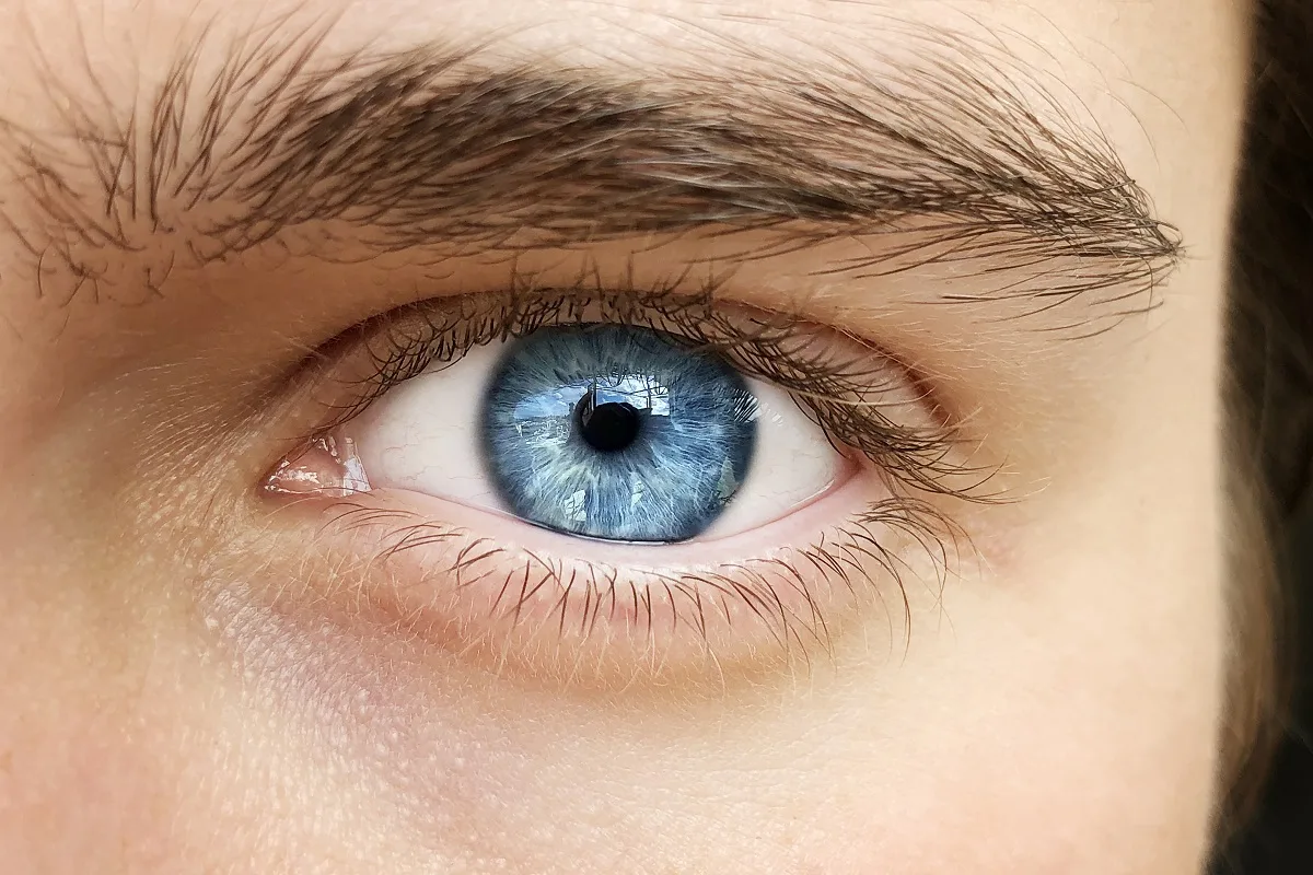 O Que Homens e Mulheres Acham Mais Atraente à Primeira Vista?