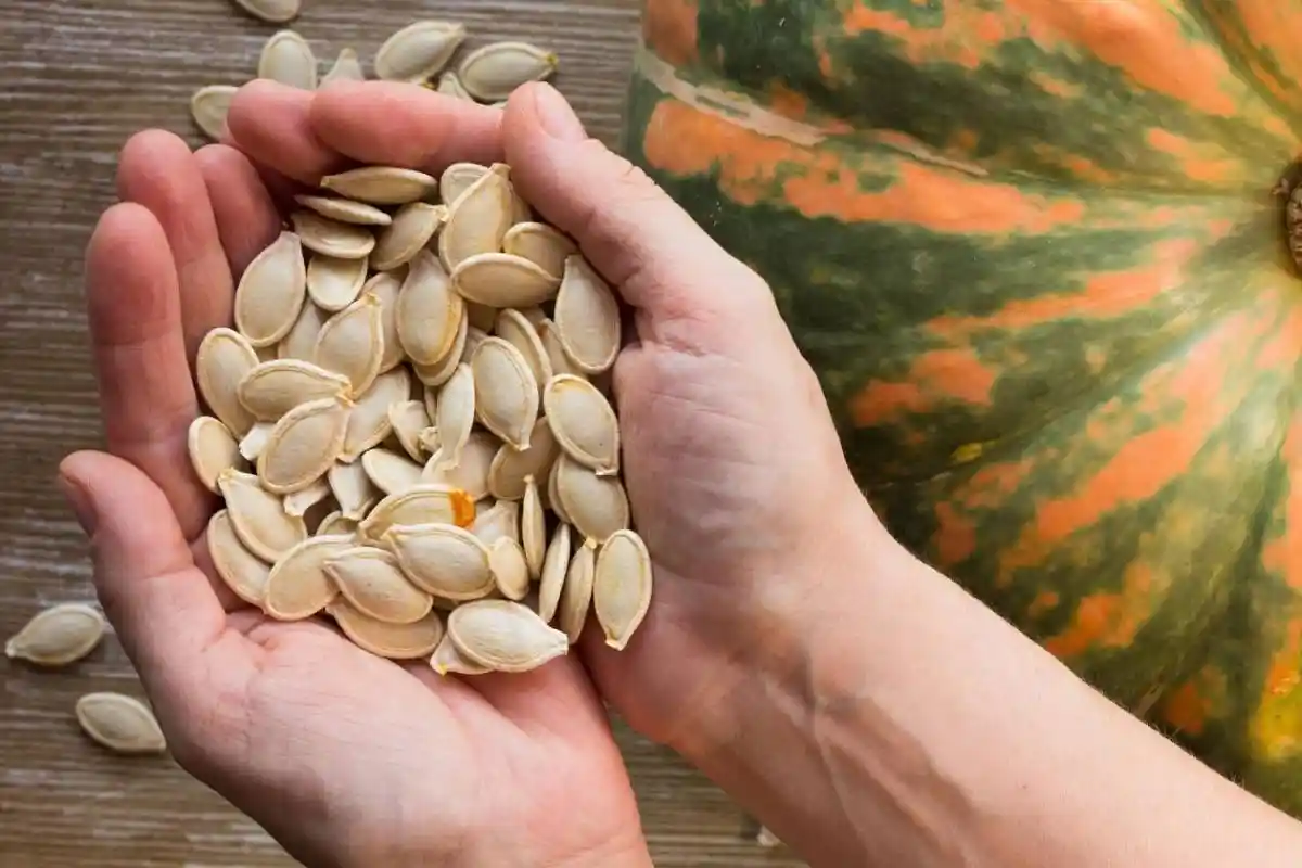 Os incríveis benefícios das sementes de abóbora