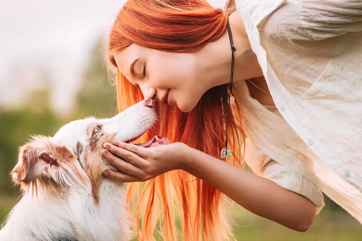 O que significa quando o teu cão te toca com o focinho