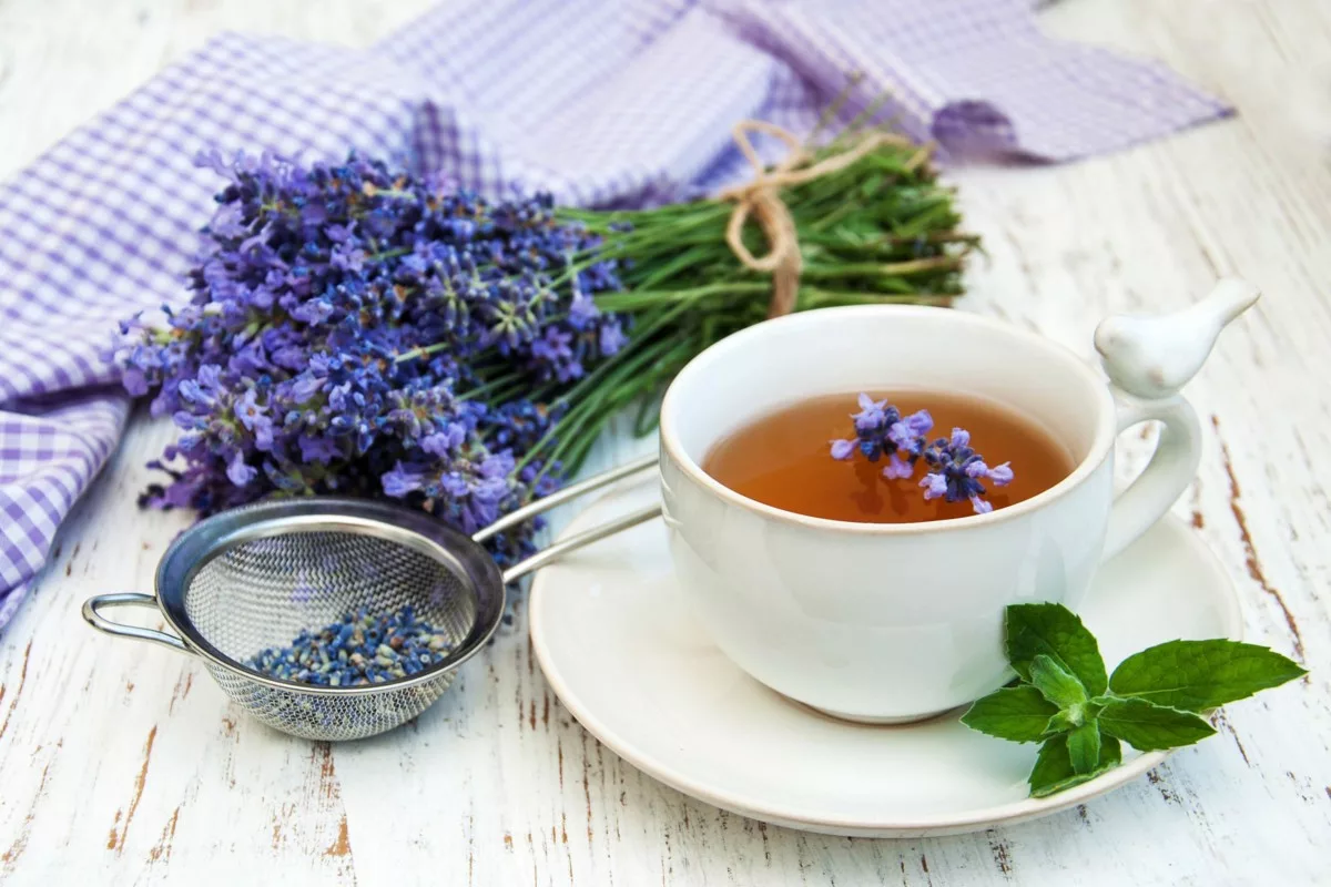 Chá de lavanda: o aliado perfeito para relaxar e cuidar da saúde