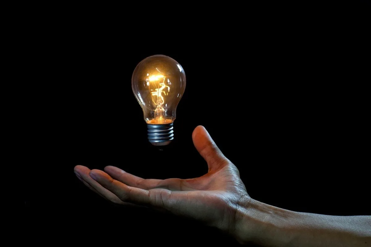 Escolha uma coruja e descubra como lida com problemas