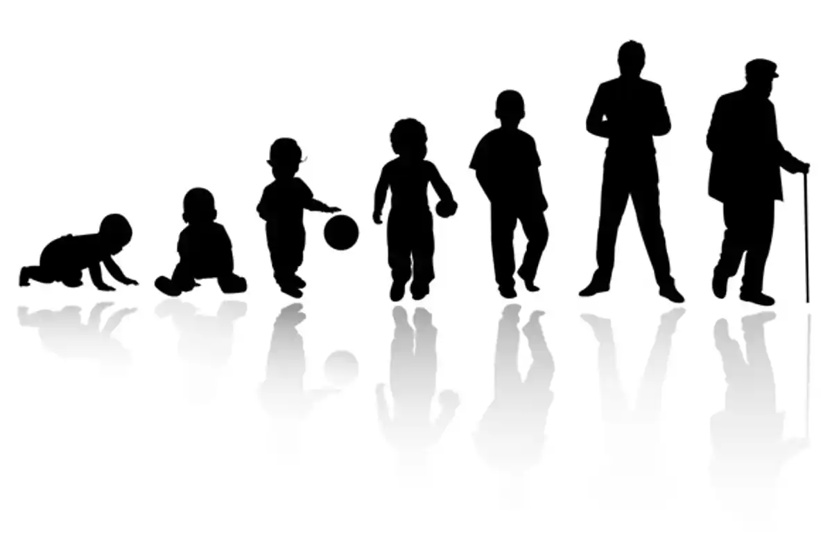 Crises da Vida Adulta: Três Momentos Decisivos