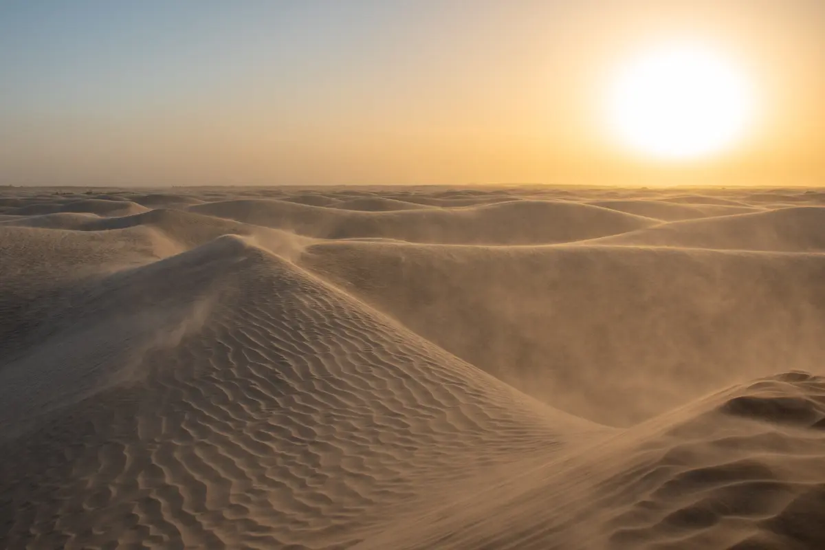 E se todos os desertos do planeta desaparecessem num piscar de olhos?