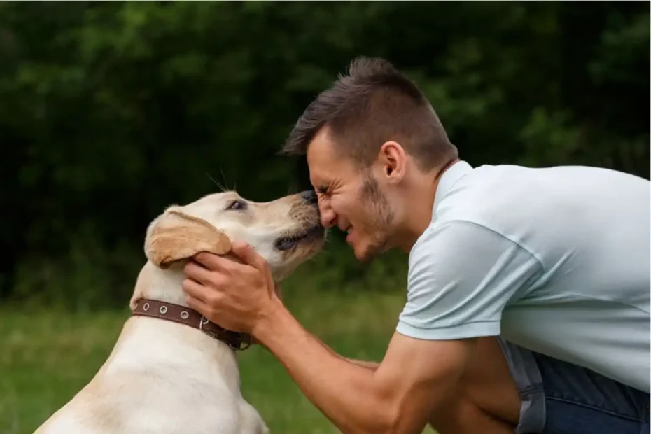 A Habilidade Mais Valiosa Para Ensinar a um Cão: A Arte de Esperar