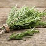 Folhas de Alecrim em Casa: Onde Colocar para Atrair Abundância pelo Feng Shui