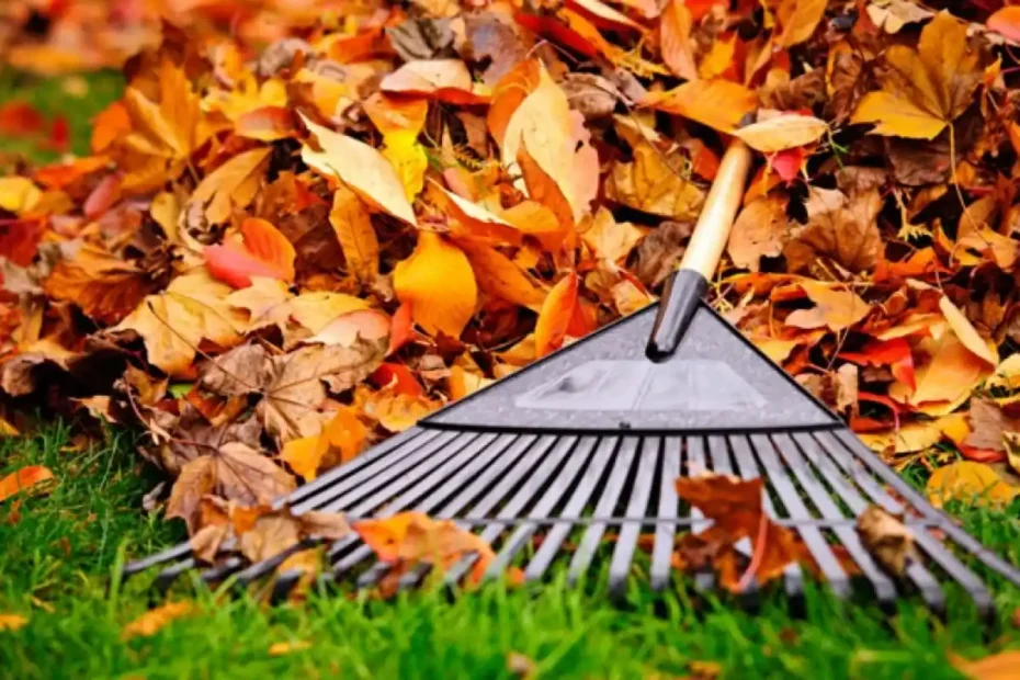 Folhas secas do jardim: 5 formas de aproveitá-las para economizar em terra e fertilizantes