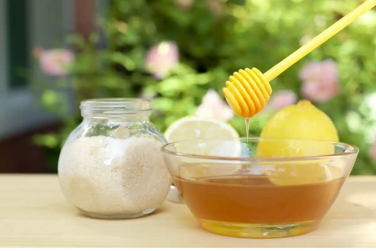 Máscara labial caseira que deixa os lábios macios, carnudos e perfeitos em apenas 10 minutos 