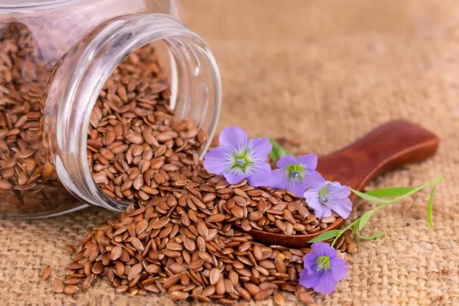 Linhaça: o superalimento vegetal que reforça o coração e o intestino