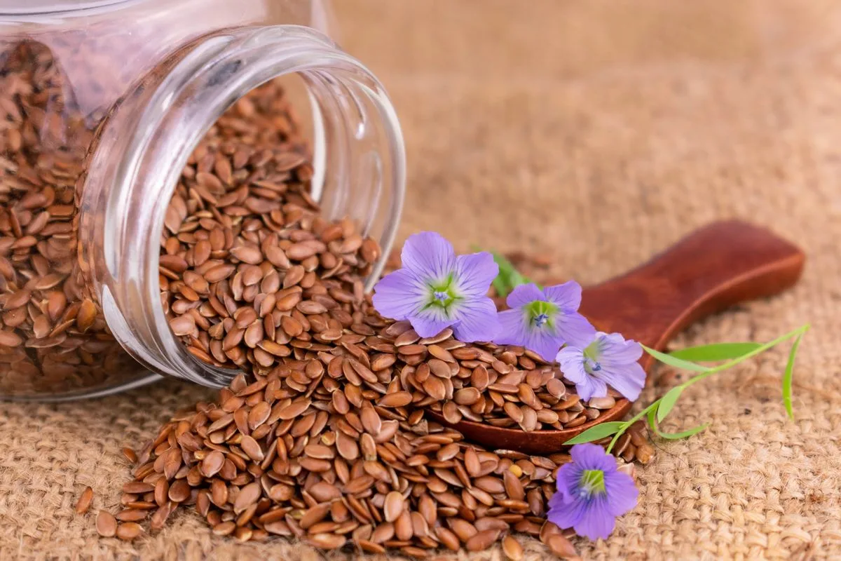 Linhaça: o superalimento vegetal que reforça o coração e o intestino