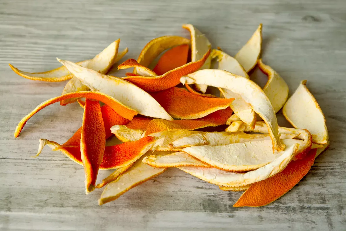 Poucos sabem: porque é que cada vez mais pessoas penduram cascas de laranja secas no jardim