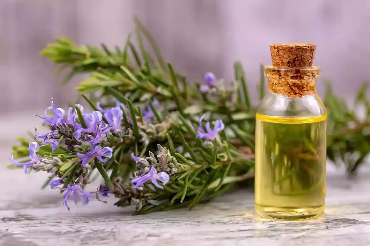 Adiciona apenas 2 gotas ao teu champô e a queda de cabelo para quase por completo