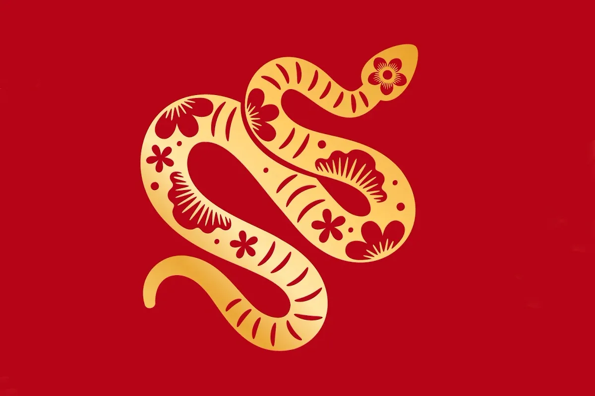 Os signos do Horóscopo Chinês que viverão uma mudança radical antes de 2026