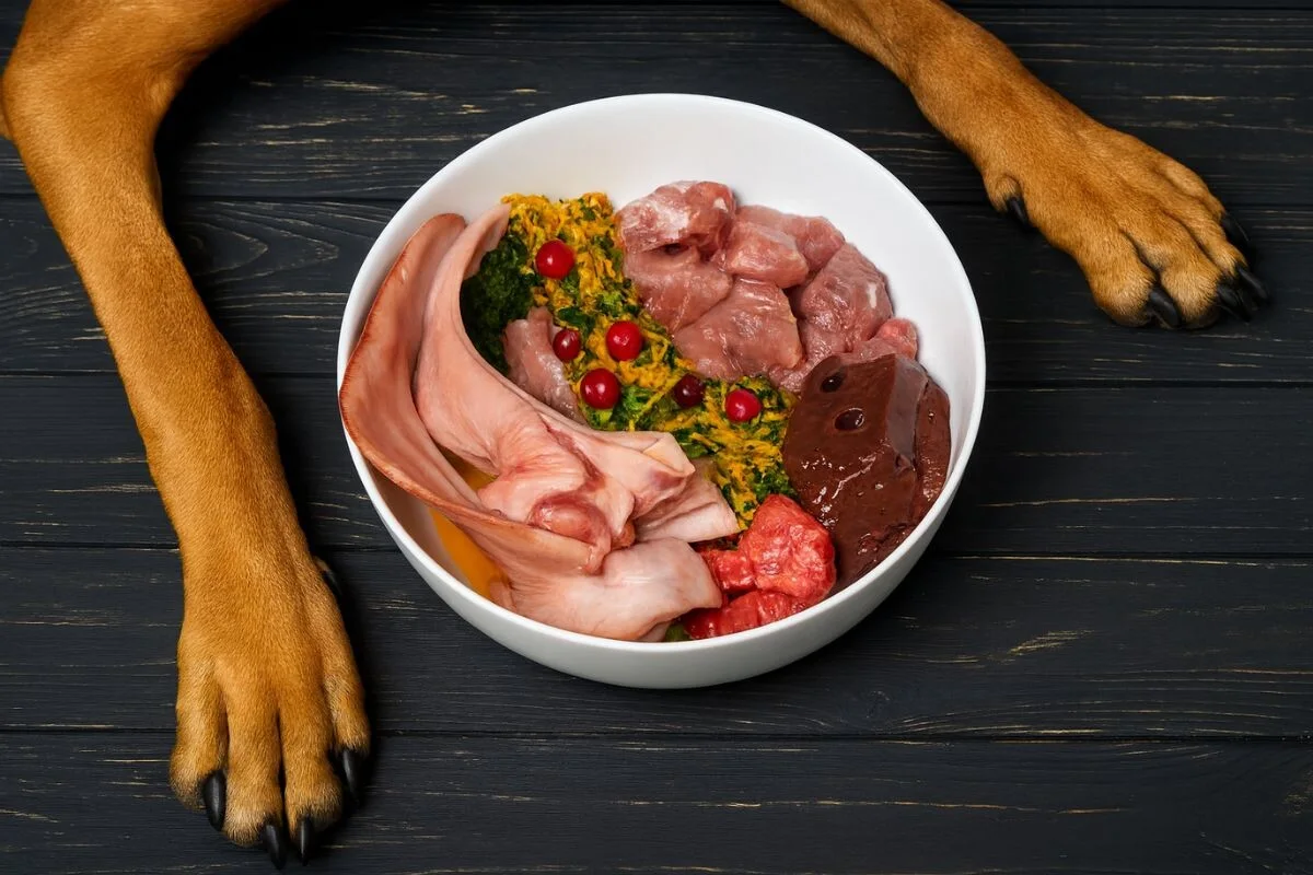 Subprodutos seguros para cães: como incluí-los na alimentação