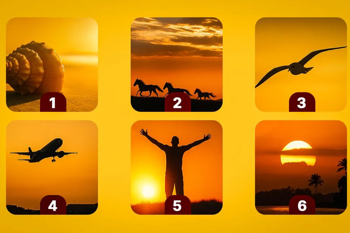 Teste psicológico pôr do sol: descubra o que a sua escolha revela sobre si