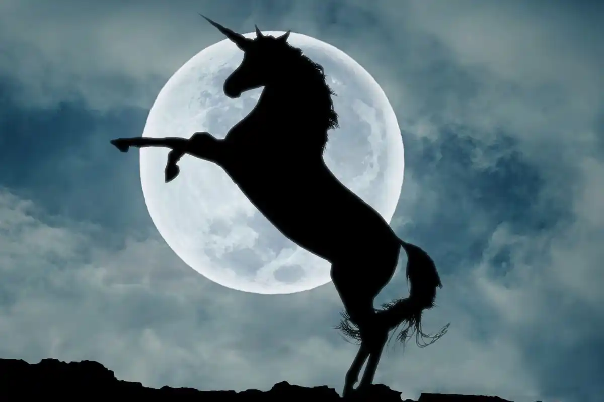 Que animal és tu? O teste que te vê por dentro em apenas um olhar