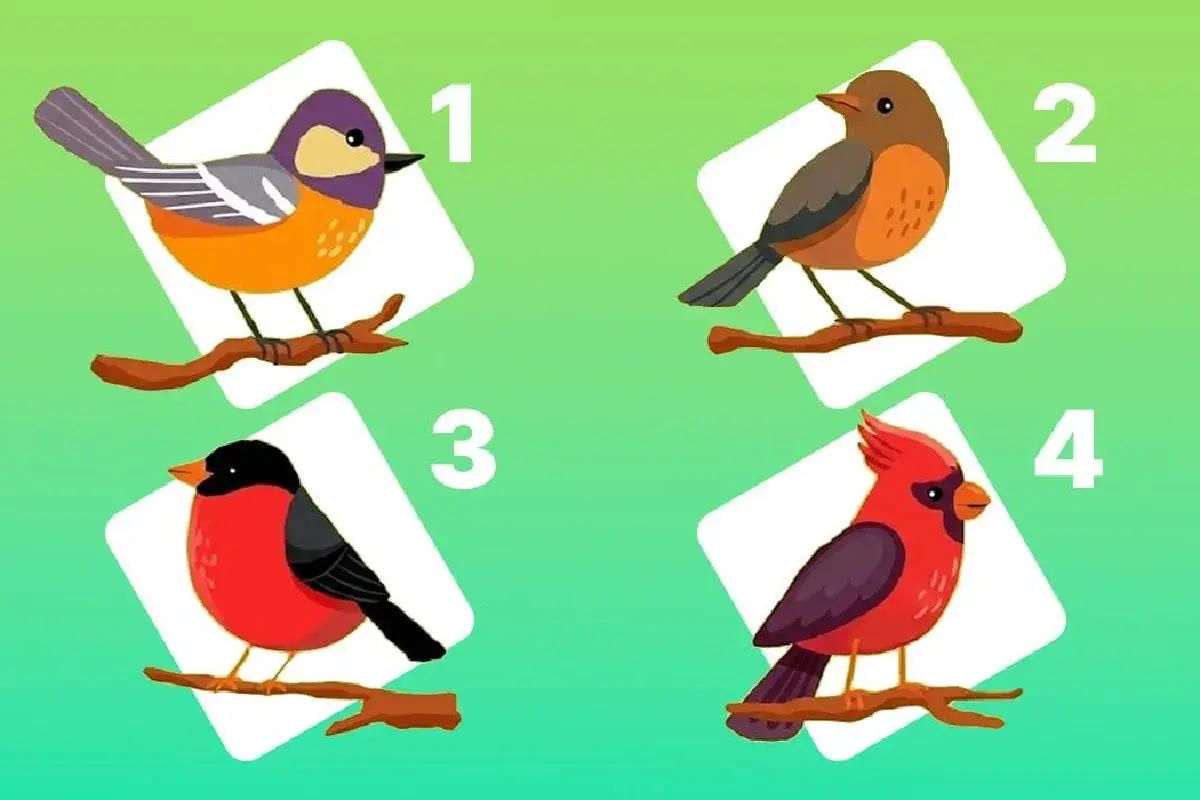 Amas ou só te apego? O teste mais honesto que vais fazer em 10 segundos