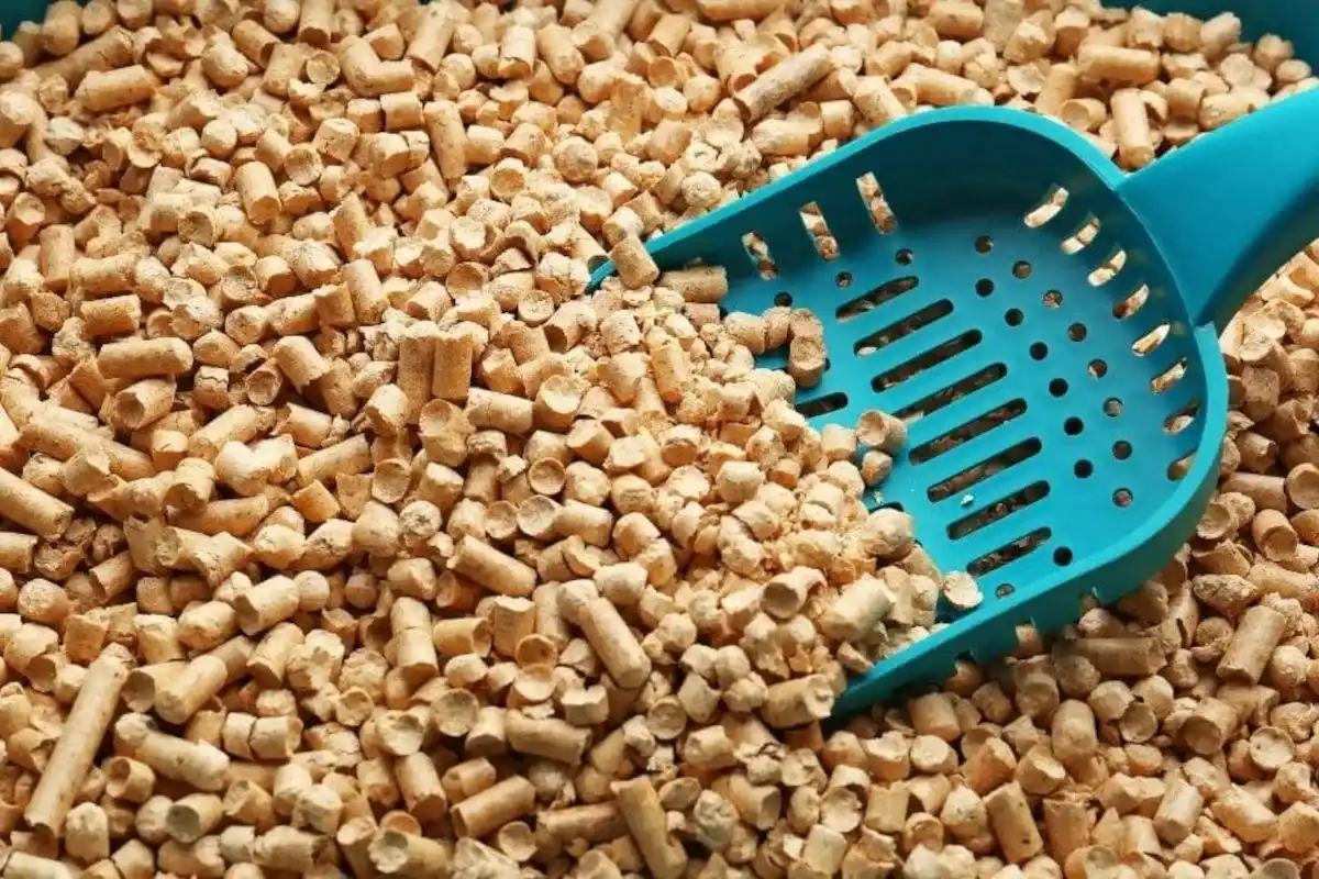 O truque genial para nunca mais ter o chão molhado à entrada de casa